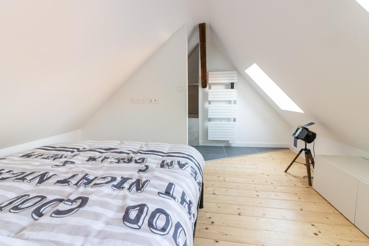 Magnifique Appartement Duplex Climatise De 40M² Nancy Kültér fotó